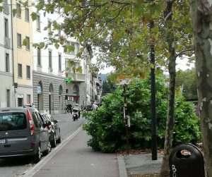 Manutenzione piste ciclabili Firenze, Aduc: "Si attende che qualcuno si faccia male…"