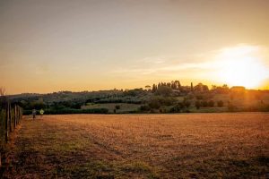 Brunch domenicale alla Birr'aia di Marignolle