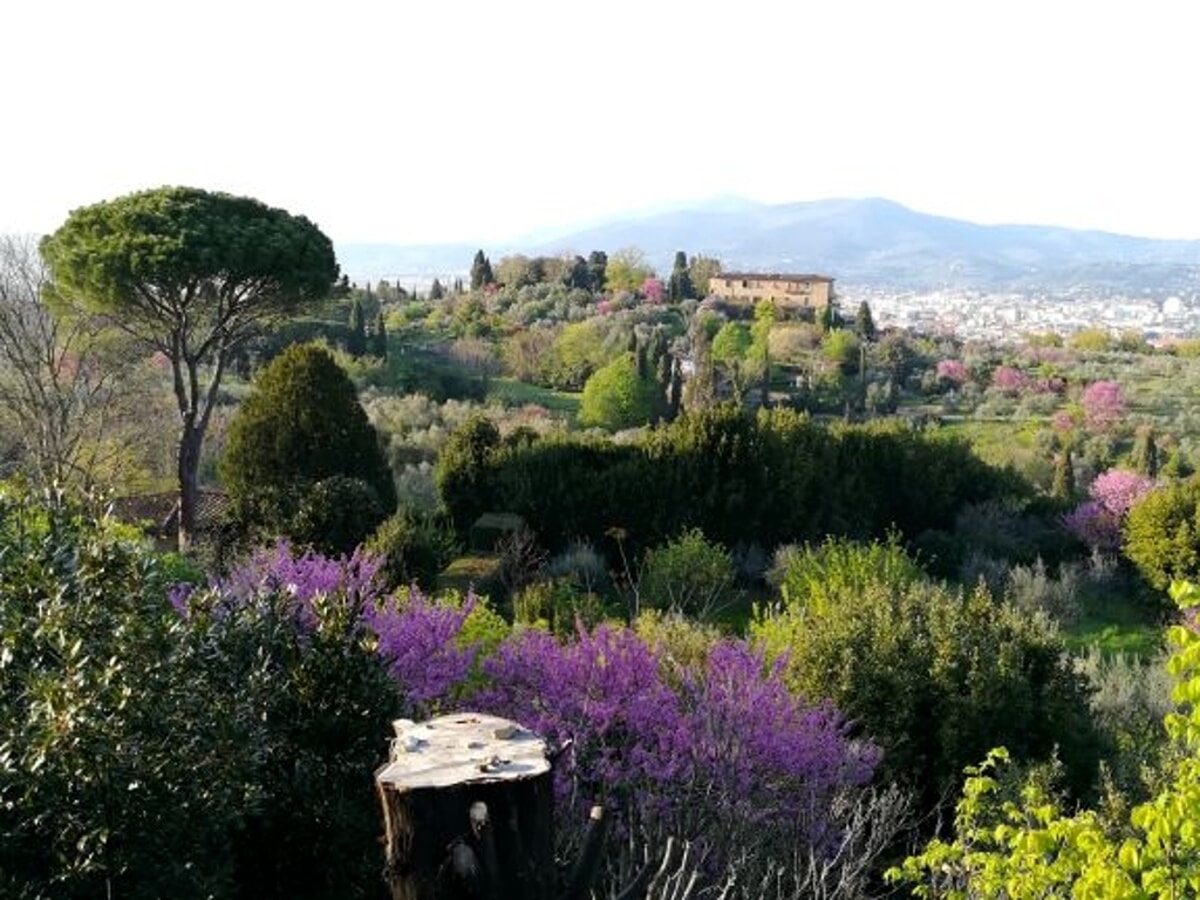 Camminata urbana "Dal palazzo alla villa"