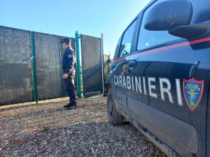 Abusi edilizi in area vincolata: denunciato