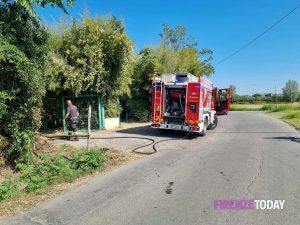 Campi Bisenzio, a fuoco terreno agricolo / FOTO
