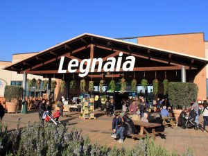 Festa del peperoncino e Jurassic Day al Consorzio di Legnaia