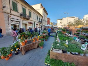 Fiorinfiera a Sesto Fiorentino