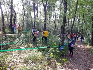 Pomeriggio nella natura con attività per famiglie al parco Canonica