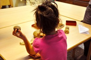 Dai vulcani alla botanica, torna "ScienzEstate" all'Università di Firenze