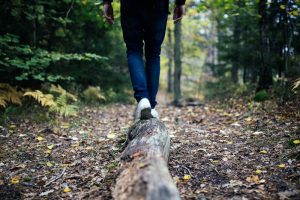 Trekking nel bosco e visita all'osservatorio astronomico a Camaioni