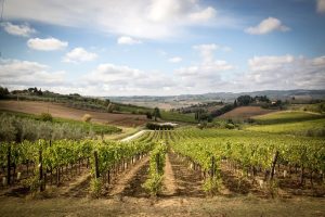 Turismo: negli agriturismi prenotazioni fino a ottobre