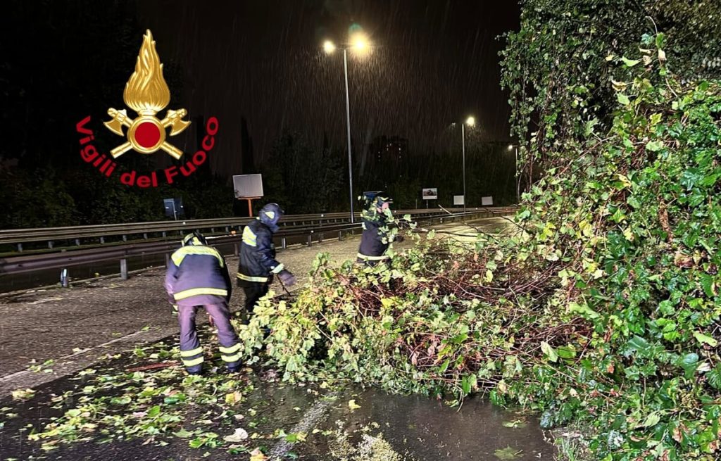 Albero caduto sul ponte all'Indiano / FOTO