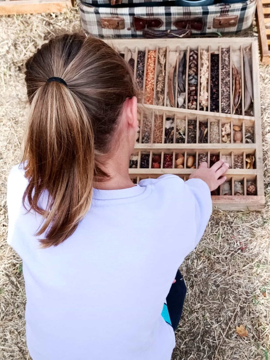 Alla primaria Sauro la piantagione del bosco didattico realizzato da Unicoop Firenze