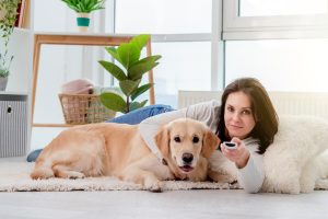 Ai cani piace guardare la tv? Scopriamo cosa vedono e sentono realmente