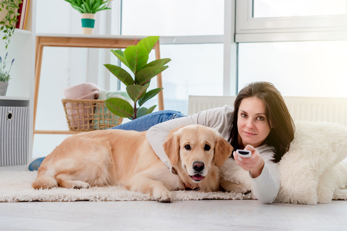 Ai cani piace guardare la tv? Scopriamo cosa vedono e sentono realmente