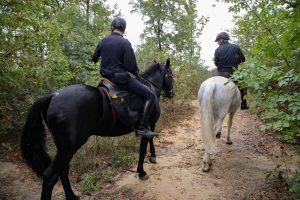 'Bosco della droga' sempre fiorente: in azione anche i carabinieri a cavallo, arrestato 25enne