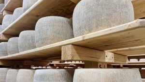 Scoprire il Monte Amiata tra ristoranti, distillerie e oliveti