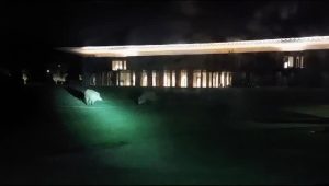 'Invasione' di cinghiali al Viola Park / LE IMMAGINI