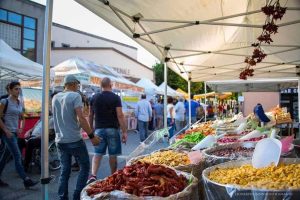 Galluzzo in fiera