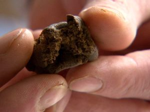 Droga, controlli a tappeto in città e provincia: sequestrato un etto di hashish