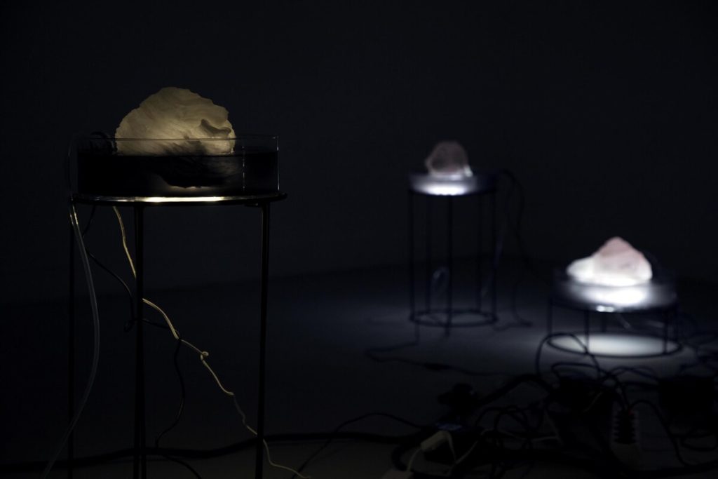 A Villa Galileo la biennale francese “La science de l’art 2023”