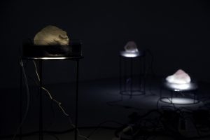 A Villa Galileo la biennale francese “La science de l’art 2023”