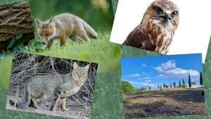 Certaldo: attività per i bambini nel parco di Canonica