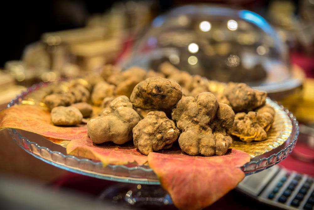La "Tartufesta" a Montaione