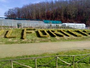 Forteto, la Regione Toscana chiede i danni ai condannati. Otto anni dopo