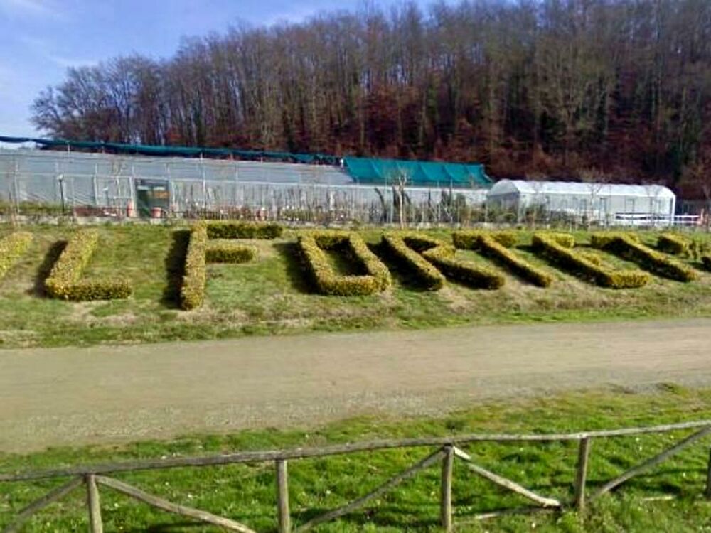 Forteto, la Regione Toscana chiede i danni ai condannati. Otto anni dopo
