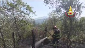 Calenzano: incendio nel bosco 