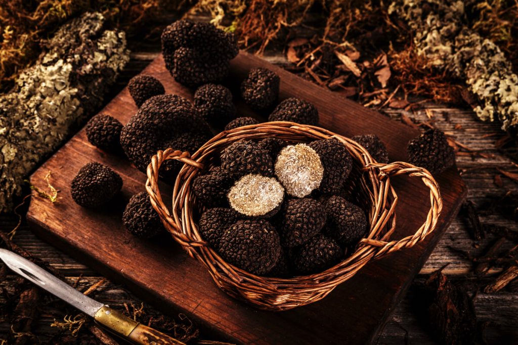 Nel cuore di Firenze una deliziosa cena dedicata al tartufo nero