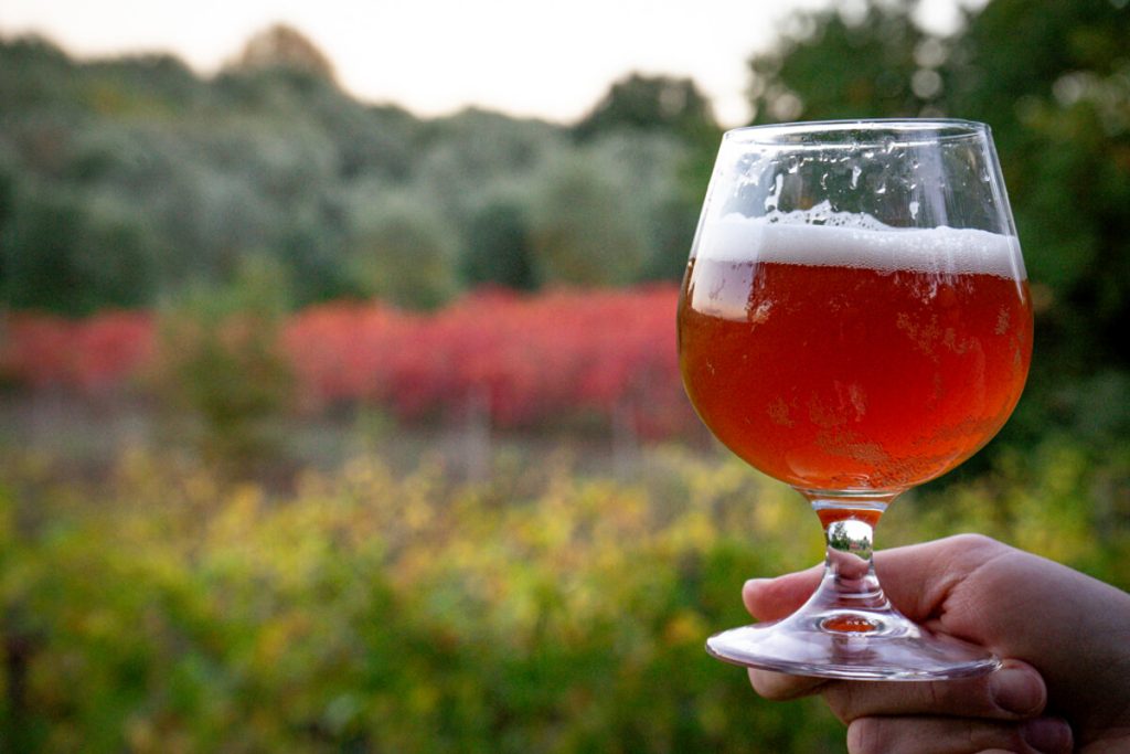 Degustazione guidata nella cantina del Birrificio Oltrarno
