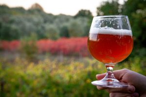 Degustazione guidata nella cantina del Birrificio Oltrarno