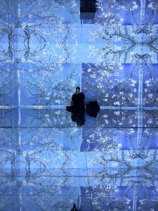 Mostra immersiva su Van Gogh alla Cattedrale dell'Immagine