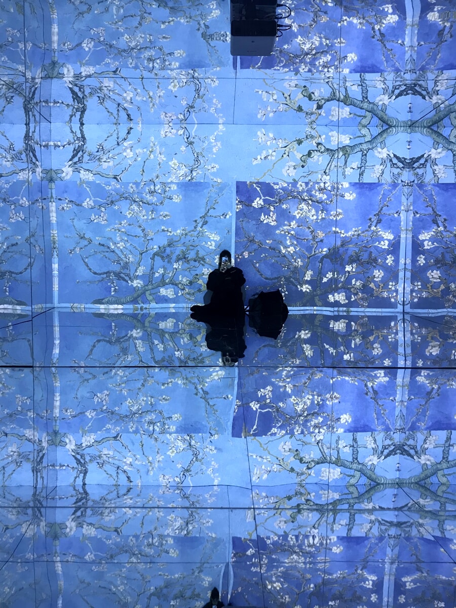 Mostra immersiva su Van Gogh alla Cattedrale dell'Immagine