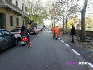 Tramvia: interventi sulle alberature in viale Milton e viale Don Minzoni