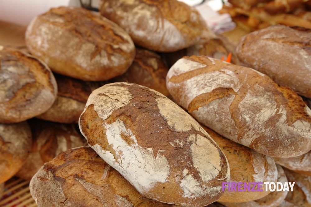 "Ci sta il pane e la sassata": cosa significa e da cosa deriva l'espressione