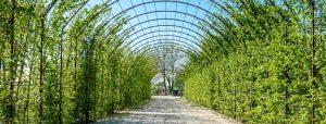 Un nuovo parco alle Piagge