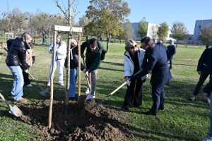 Nuovo boschetto da 80 alberi: "Ora uno per ogni studente straniero che arriva in città" / FOTO