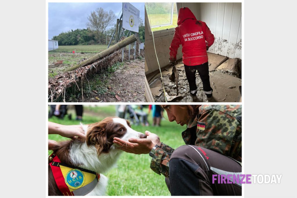 Unità di soccorso senza campo di addestramento dopo l'alluvione: "Aiutateci a ripartire" / FOTO