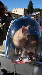 Impruneta, migliaia di partecipanti per la benedizione degli animali  FOTO