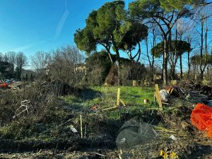 De Blasi (M5S): “Giardini del Mezzetta, spesi 450mila euro per lavori imbarazzanti”