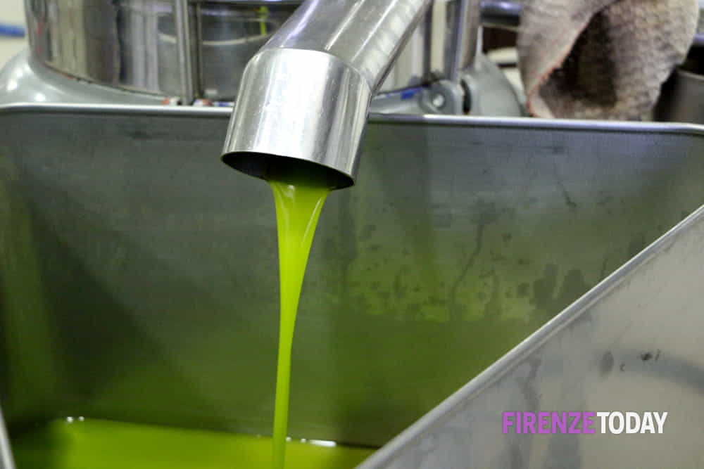Olio al setaccio dei Nas: multe a tre aziende in provincia di Firenze