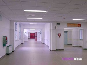 Vaiolo delle scimmie nell’area fiorentina: situazione sotto controllo