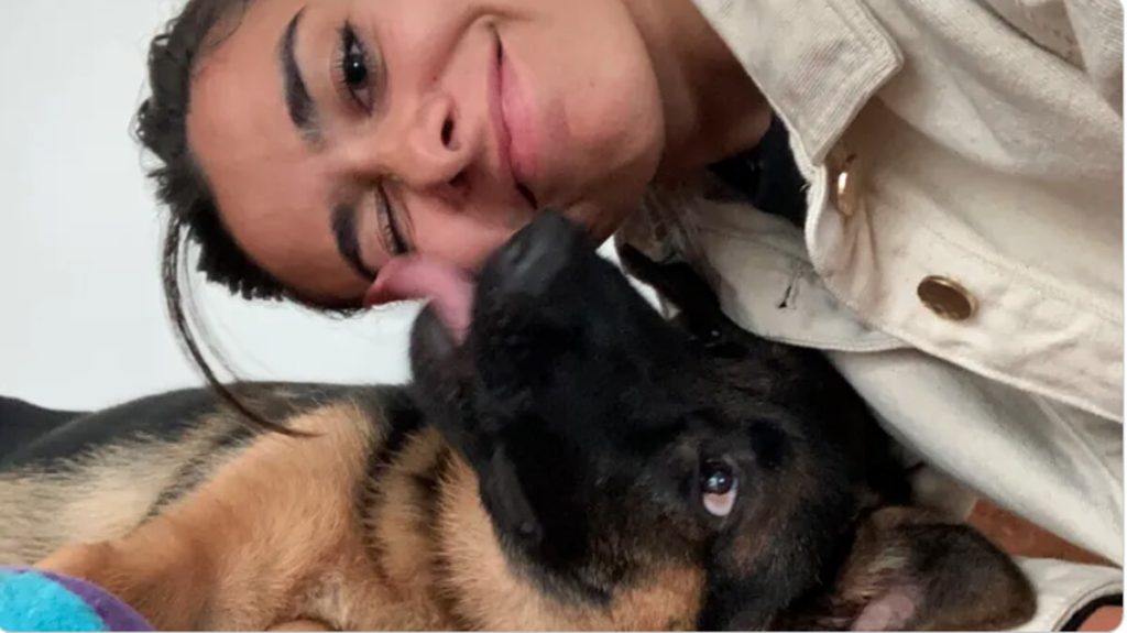 Firenze, pastore tedesco addestrato per Pet Therapy ha bisogno di una protesi: parte la solidarietà online