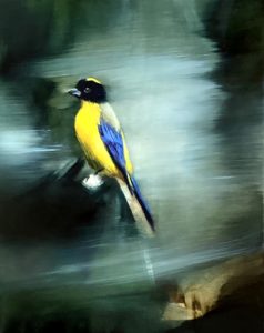 "Nel luogo della pittura", mostra d'arte contemporanea al Ristoranre Konnubio