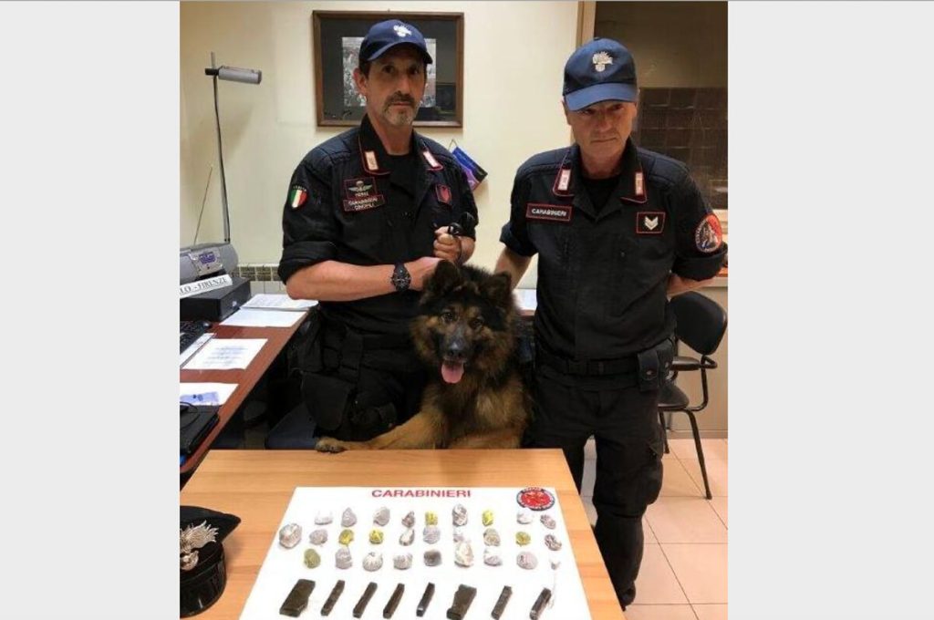 Addio Battman, grazie al suo fiuto scoperta ogni tipo di sostanza