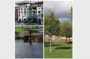 Estate fiorentina, arrivano quattro nuovi spazi culturali estivi in città