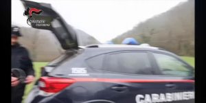 Giovane lupa cade in trappola: curata e rimessa in libertà  VIDEO