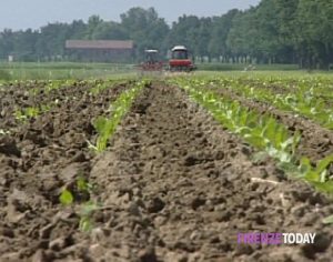 8 marzo, Unione agricoltori Firenze: “Il 30% delle aziende agricole della provincia sono guidate da donne”