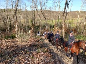 'Bosco della droga', perlustrazioni a tappeto da parte dei carabinieri a cavallo / LE IMMAGINI