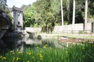Festa di primavera alla Fattoria di Maiano