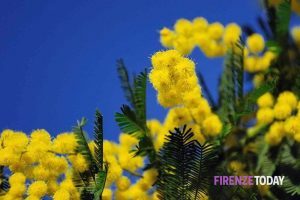 Festa della donna: storia e origini del perché si celebra l'8 marzo